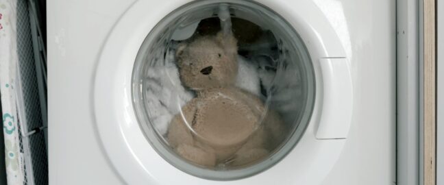 Teddy in a washing machine