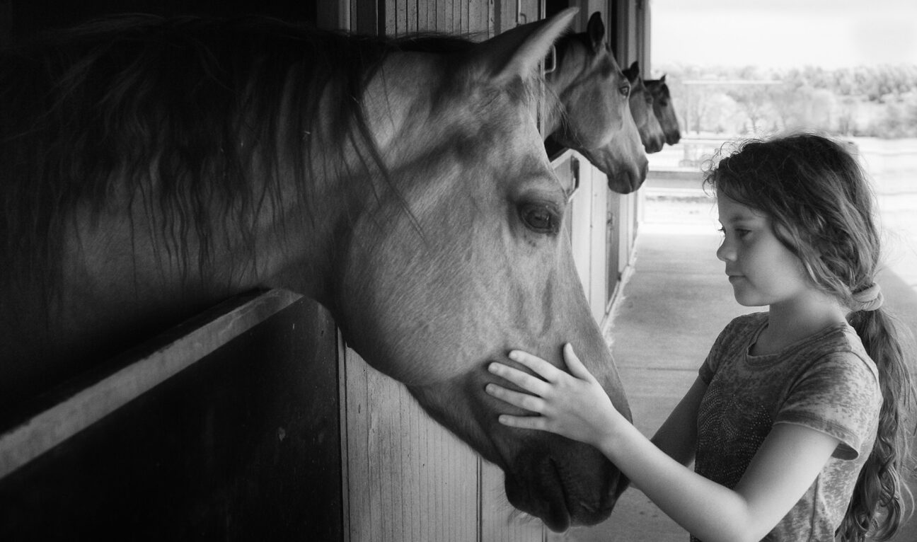 Girl strokes a horse in a stable